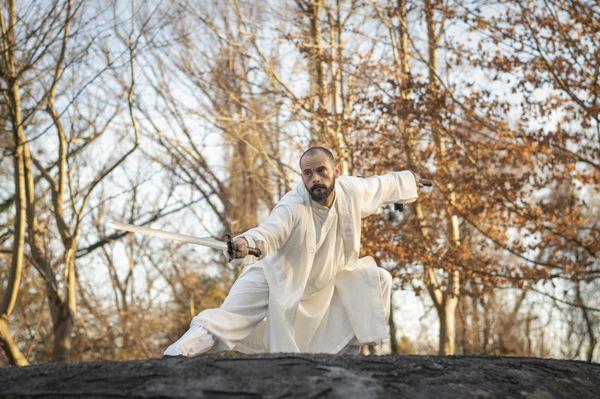 Tai Chi Kung Fu Martial Arts