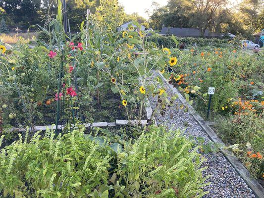 Community garden