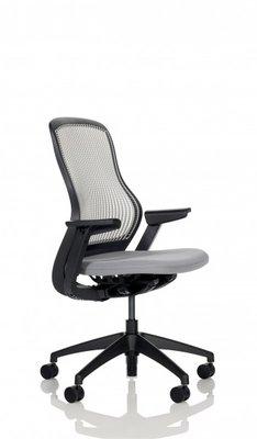 Knoll ReGeneration Chair