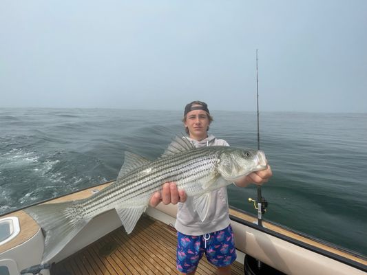 Big striper!!