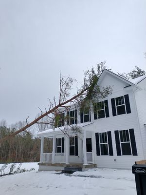 Bushwhackers Tree Service & Landscaping