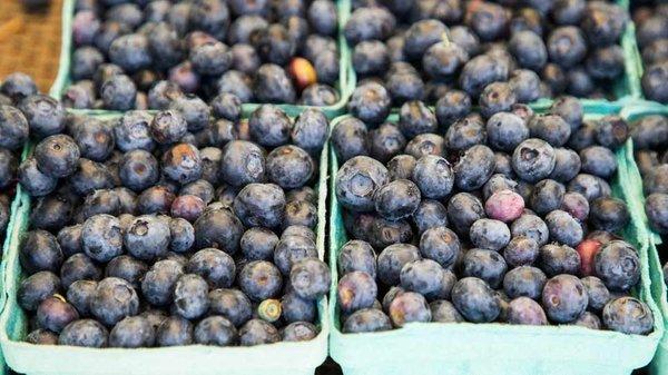 Farmers Market Ingredients