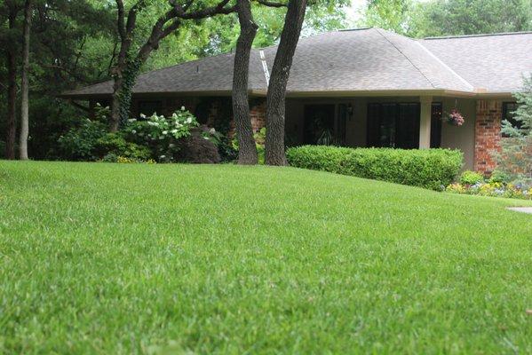 Customer's green, weed free lawn in Edmond