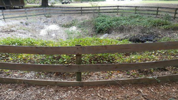 Sinkhole in front of Cricket Campsite