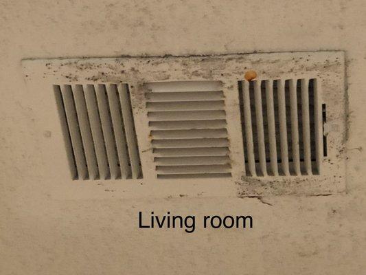 Living room vent and ceiling mold