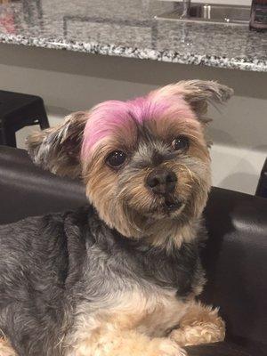 Josie with her PINK Doo...smiling at me