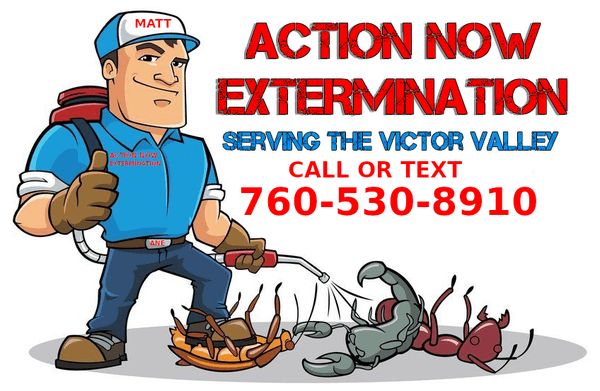 Action Now Extermination