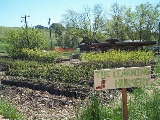 The native plant learning nursery at the PCEI Nature Center.