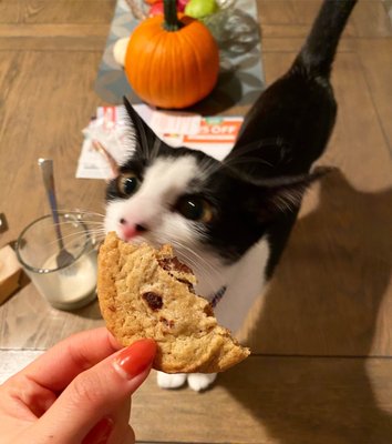 Cookies from Secor Farm