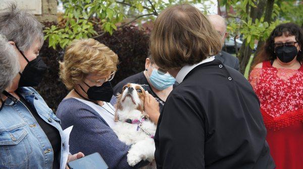 Blessing of the Animals