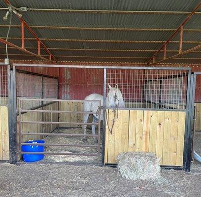 Some of the newest stalls reserved for the overnight guests.