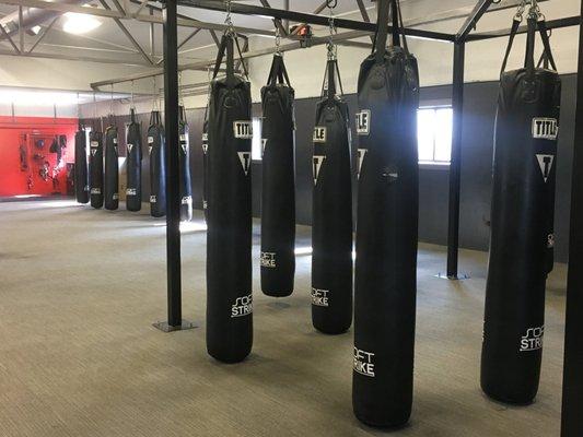 Plenty of bags for kickboxing.