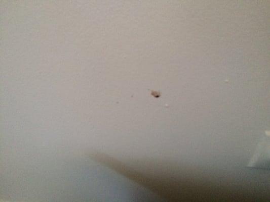 Blood?? It's a pic of a wall with a stain that is unknown but gross. This is on several walls throughout the apt.