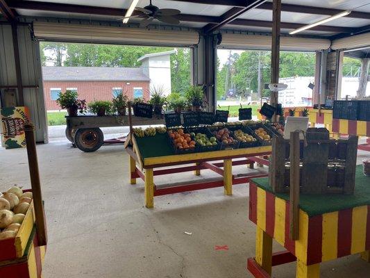 Fresh fruit, vegetables, and plants