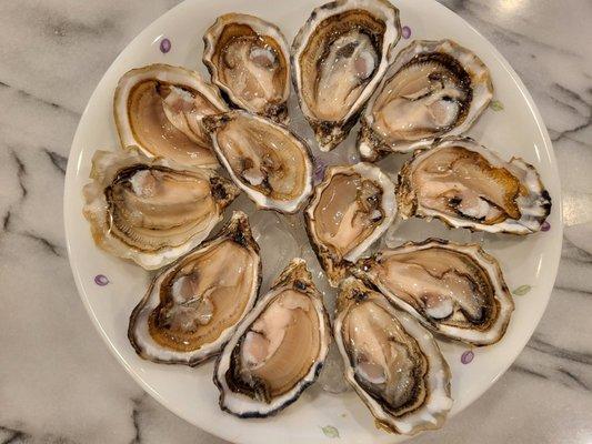 Shigoku Oysters shucked at home ($1.30/piece).  Meaty, not too briny, and slightly sweet! 6/30/2022