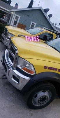 Bears Towing