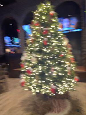 Christmas tree at WAlkon's