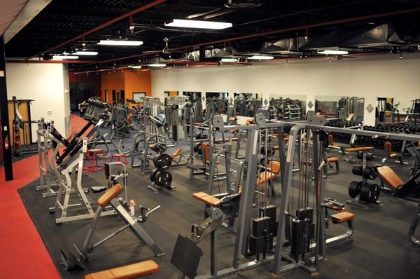 Shenandoah Powerhouse Gym & Fitness