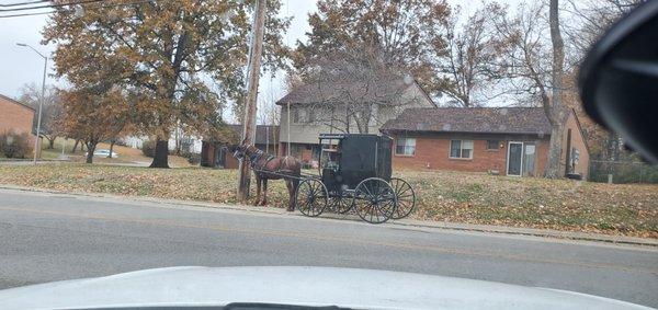 One of the many Amish buggies I've seen parked at the Deli/Smoke shop.