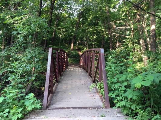 Bridge over Creek