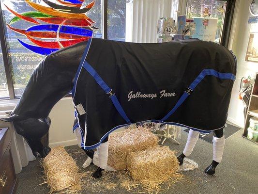 We can help fill your barn with Custom Sheets, Blankets, Scrims, Coolers & More!