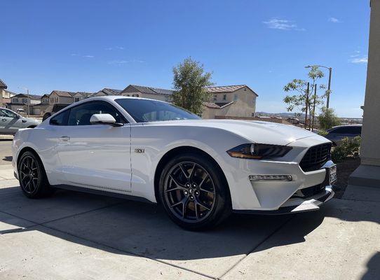 My Mustang  I will always get my vehicles detailed by Premium Empire Detail and recommend them to everyone.