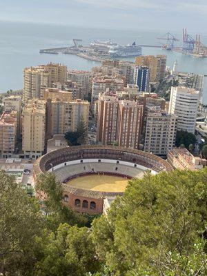 Bull Fighting in Spain