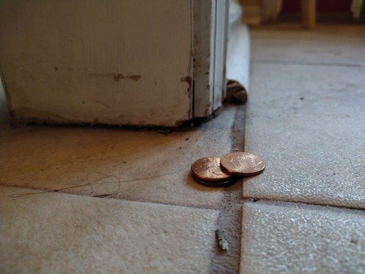 Floors Outlet installed the tile uneven. This tile edge is about 2 pennies higher than the next tile edge. It's everywhere.