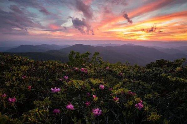 Hiwassee Memorial Gardens