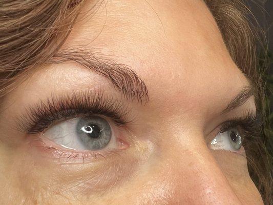 Eyelash Service Volume Lashes