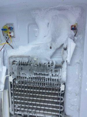 Samsung refrigerator frosting issues caused by a known defect and making your refrigerators food spoil by running warm