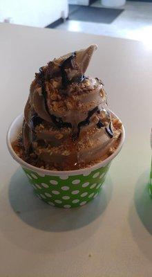 Caramel Frozen Yogurt with Heath candy bar, chocolate and caramel syrup!