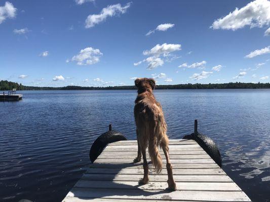 Dog heaven looking at Pike Lake.