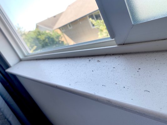 Smoke, soot and ash on bedroom window sill after wildfires