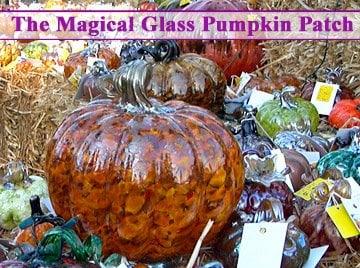 Magical GLASS Pumpkin Patch Festival