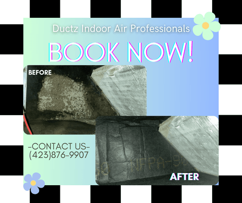 DUCTZ Indoor Air Professionals are YOUR mold remediators!