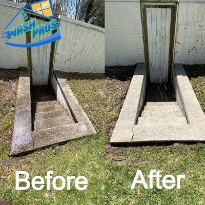 Back stairs pressure washing!