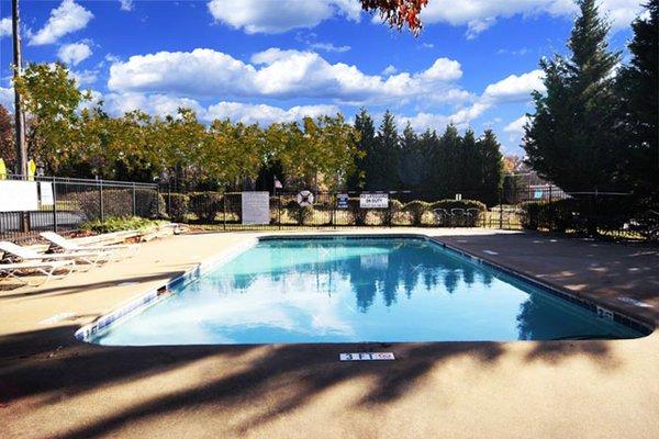 Sparkling Swimming Pool