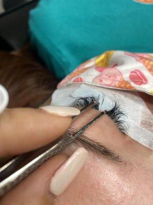 Healthy lash growth