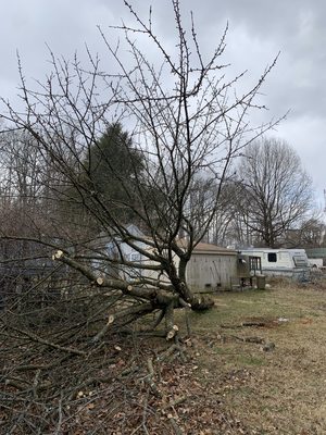 Storm Damage Clean-up