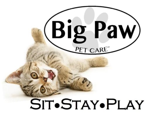 Big Paw Pet Care