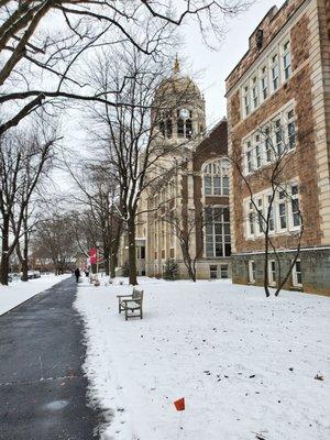 LVPG Family Medicine-Muhlenberg College