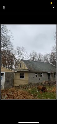 Tree is off the roof