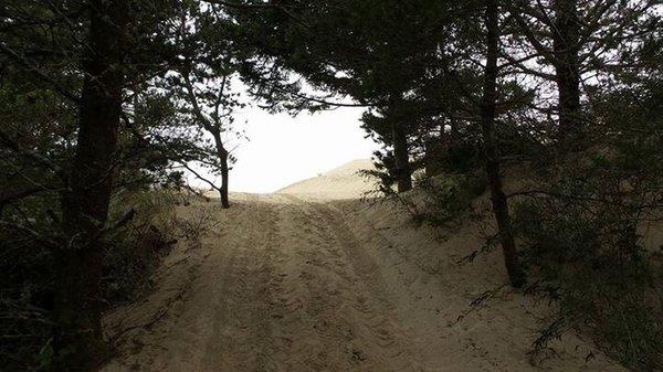 Direct access to dunes