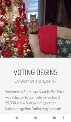 https://americasfavpet.com/2023/pixie-5320

Please vote for pixie today and tomorrow to advance her to the next round.