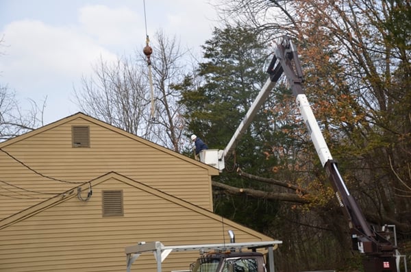 Jensen Tree Experts handles all storm damage with expertise.  Crane and bucket trucks at your service.