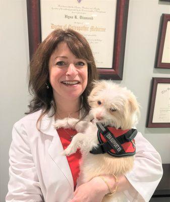 In office therapy dog (optional)