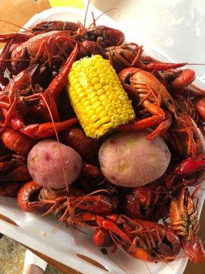 Crawfish Festival 2023