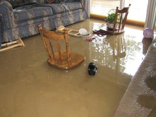 I am happy to assist you with getting the maximum claim due to water damage.