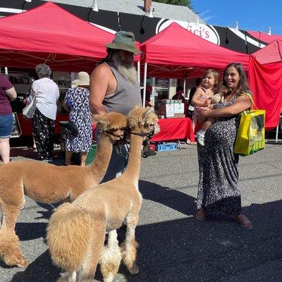 North Andover Farmer's Market